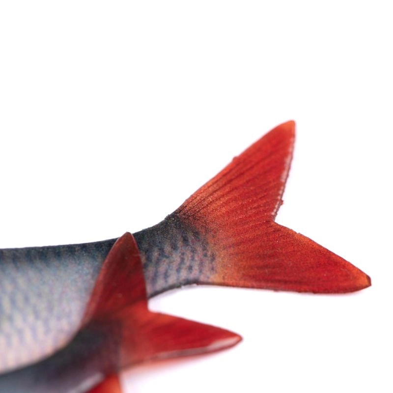 Fox Rage Ultra Natural Roach Fillets